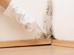 Best Mold Removal for HVAC Installations  in Dallas, NC